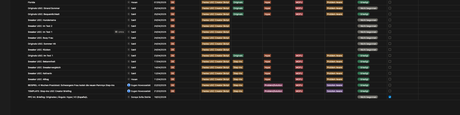 Pammys Notion video ad briefings database — detail view